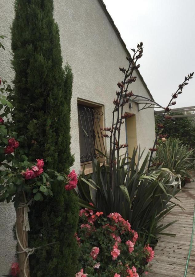 La Villa Vaihere En Camargue, L'Hibiscus Et Le Magnolia Saintes-Maries-de-la-Mer Buitenkant foto